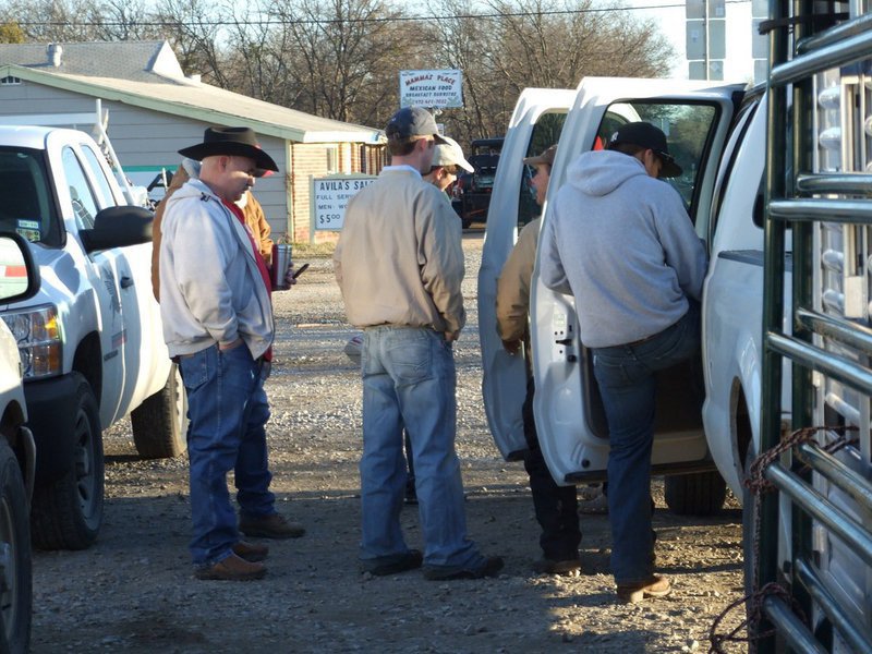 Image: Mount up! — Italy FFA members get mounted into their modern-day horses for the trip to Fort Worth.