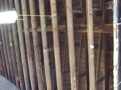 Image: Original Wood