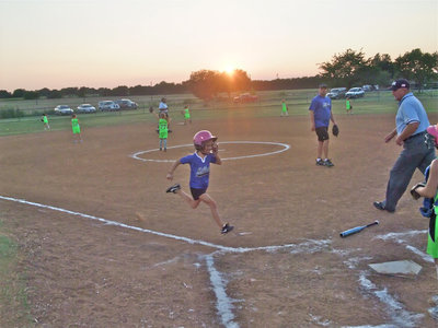 Image: Jones the jackrabbit