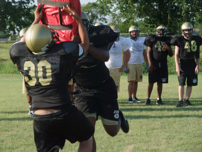 Image: Larry steamrolls