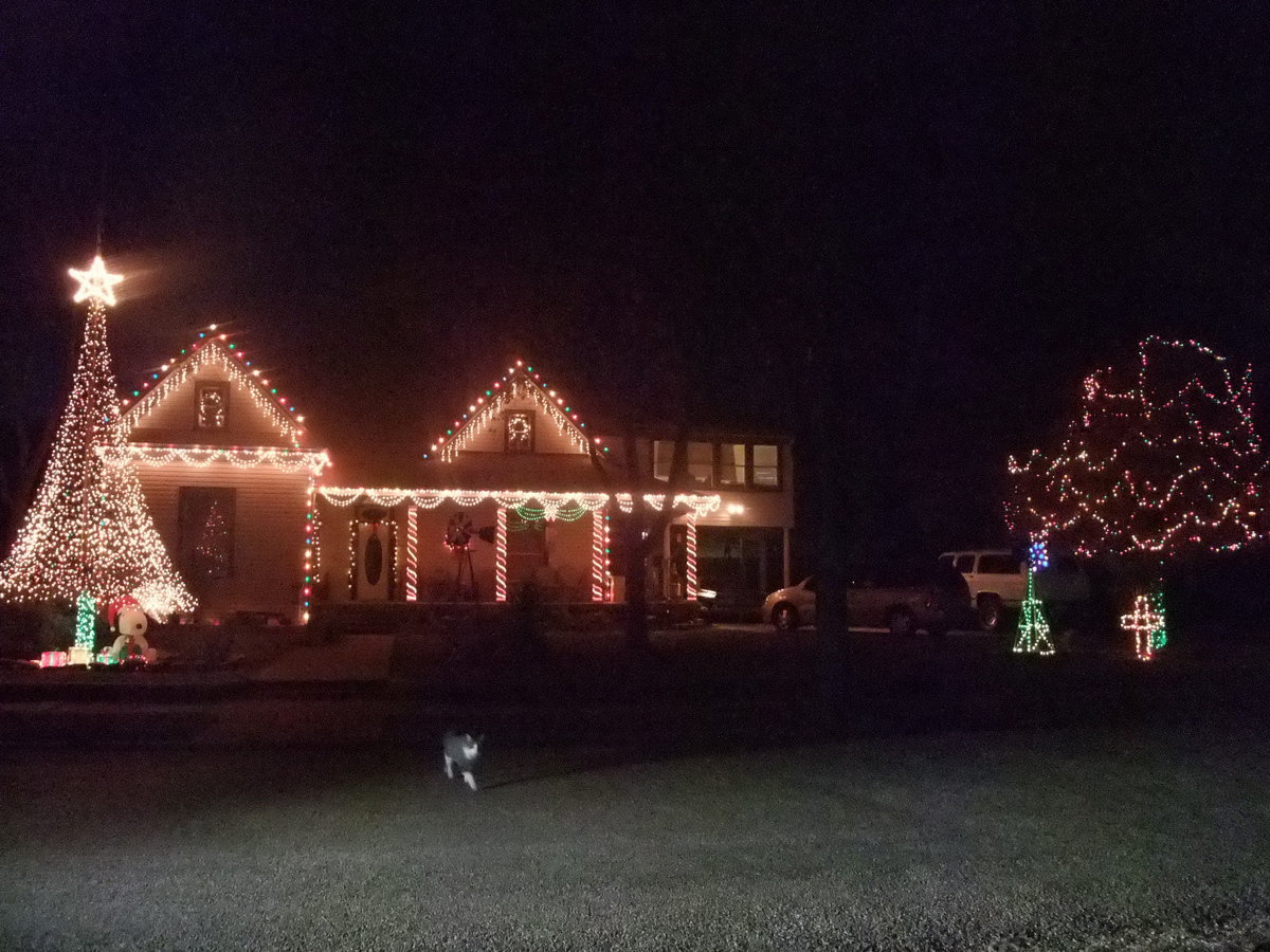 Image: Christmas Spirit