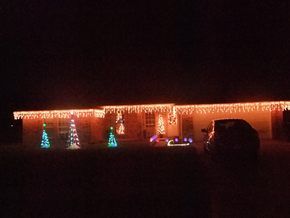 Image: More Christmas Trees