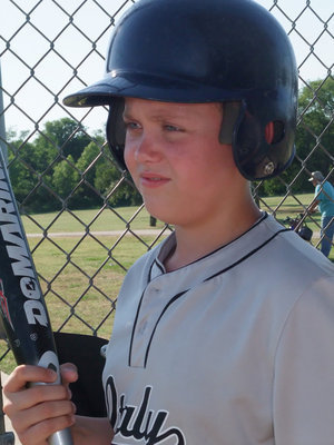 Image: Bailey the basher