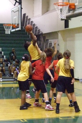 Image: Reed rises above