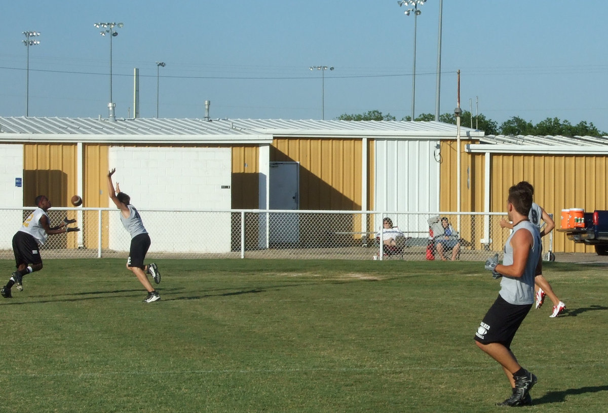 Image: Italy V. Palmer — Almost a touchdown.