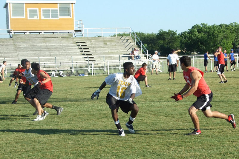 Image: Maypearl v. Italy — Maypearl going for 6.