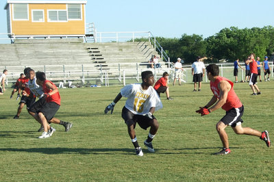 Image: Maypearl v. Italy — Maypearl going for 6.