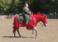 Image: Costume contest winner — Brooke Lewis of Ennis and her horse Ms Cool Fleet won “Best Overall” in the costume contest during the 2008 show for their depiction of Princess Fiona and a dragon from the movie Shrek.