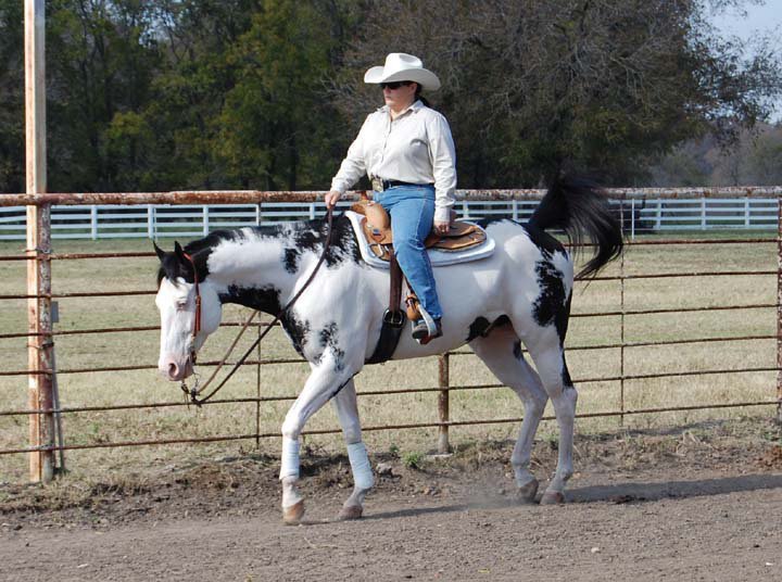 Image: Theresa and Homer — Theresa Lewis of Palmer and Homer winning western pleasure.