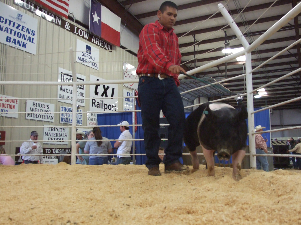 Image: Yonatan Davilla — Yonatan has been a member of 4H for many years.