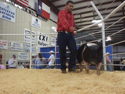 Image: Yonatan Davilla — Yonatan has been a member of 4H for many years.