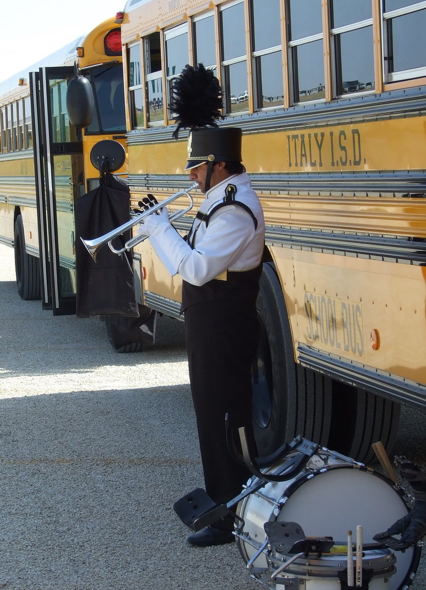 Image: Taz gets prepared