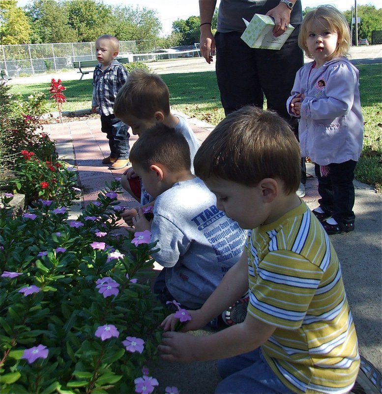 Image: Smell these flowers