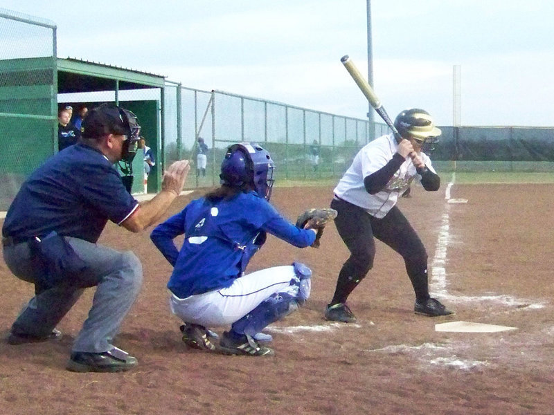 Image: At Bat         — Drenda Burke at the plate.