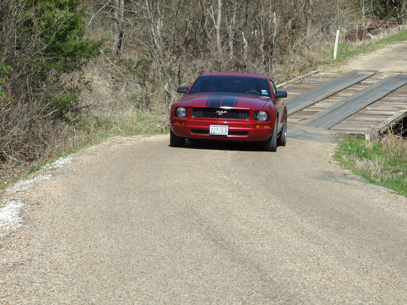 Image: Here Comes A Mustang