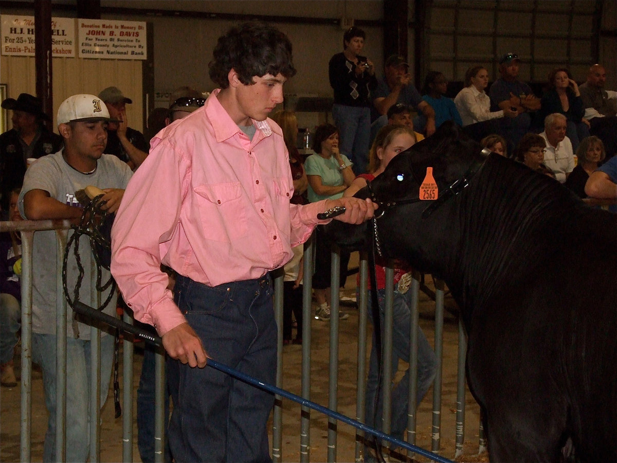 Image: Didn’t expect it — Russell Helms is awarded first in class with his animal.