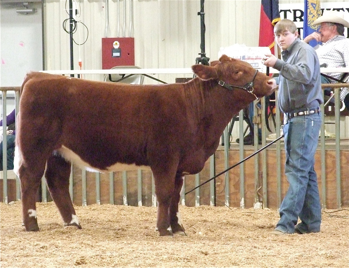 Image: David eyes the judge — Italy’s David Garner receives 2nd in class.
