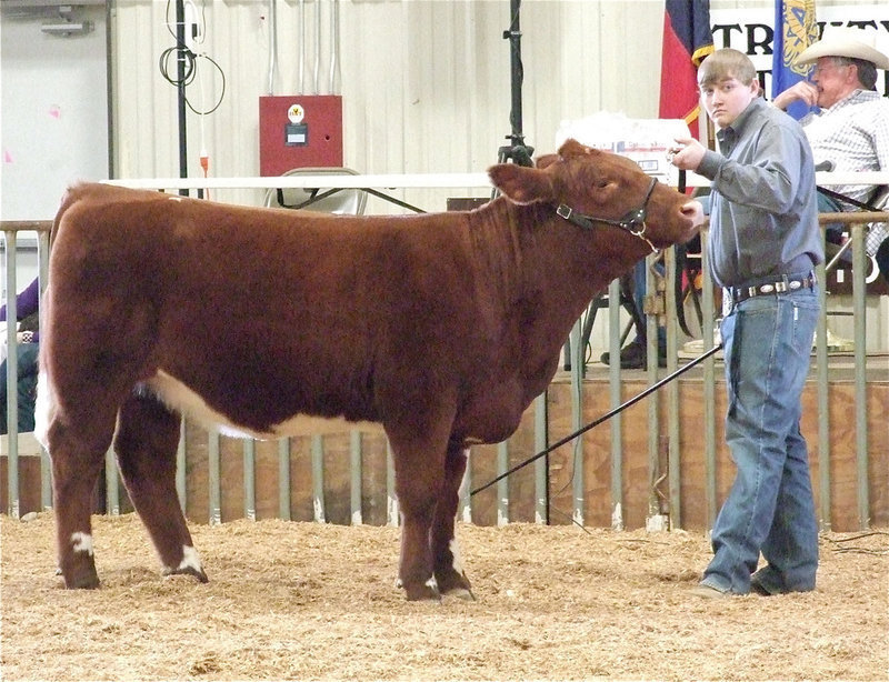 Image: David eyes the judge — Italy’s David Garner receives 2nd in class.