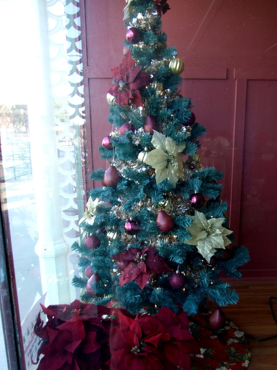 Image: Oh, Christmas Tree! — Christmas is upon us. Come on out to the festival and pick up some last minute Christmas presents at the craft booths!