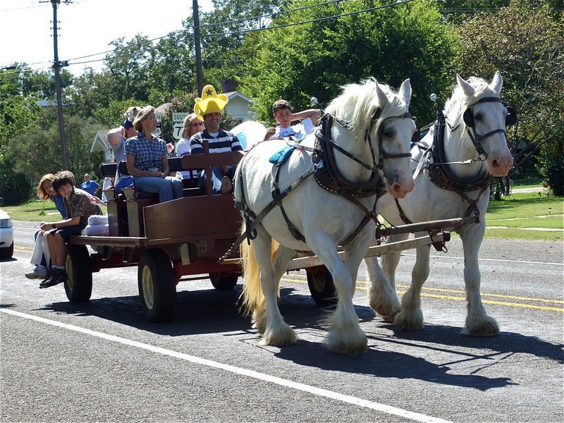 Image: The band wagon