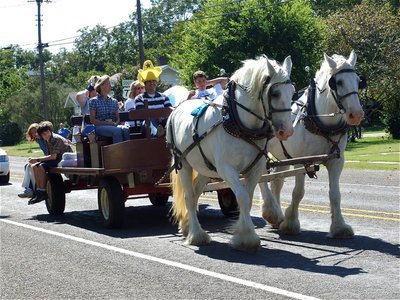 Image: The band wagon