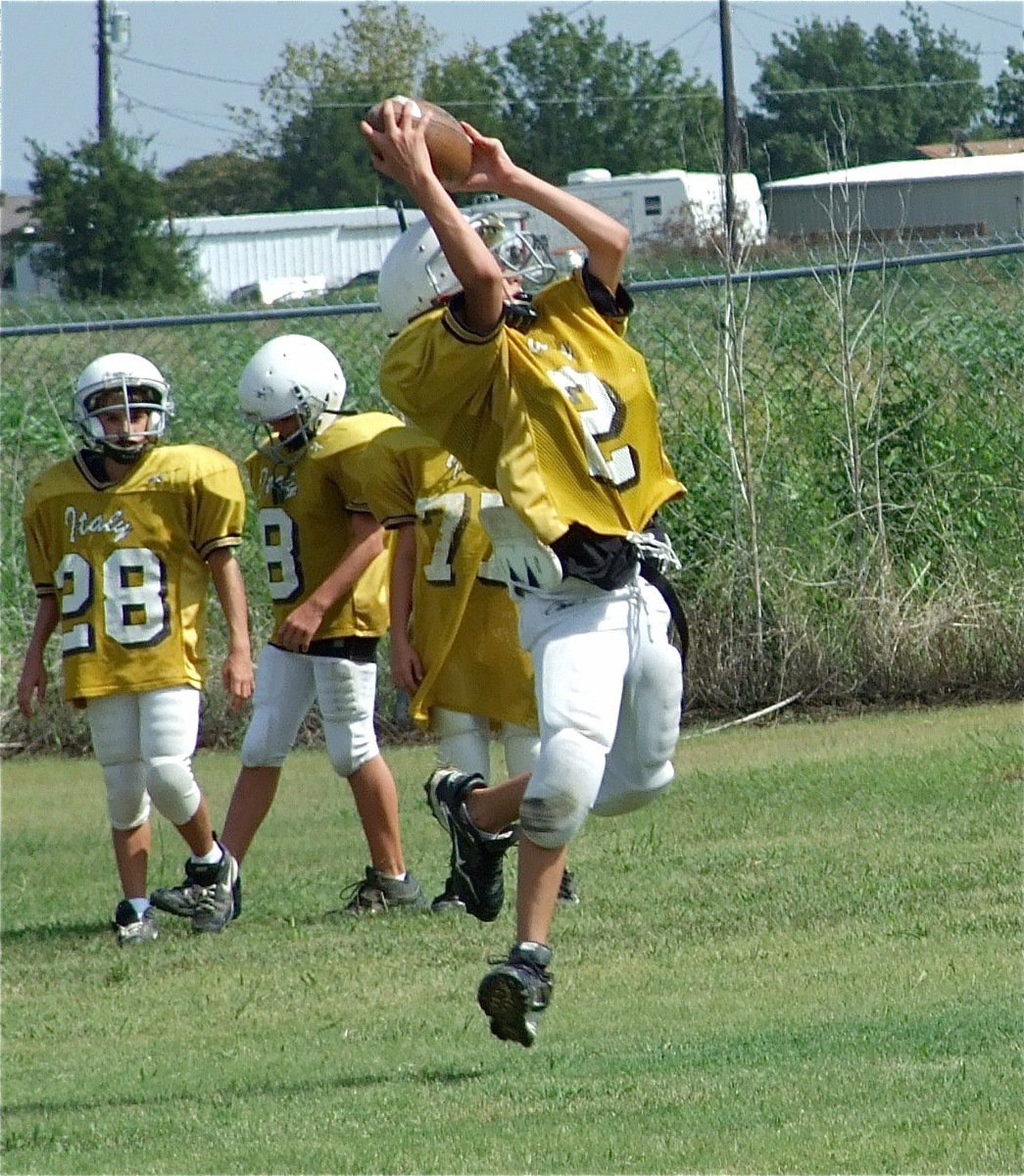 Image: The tough catch — The receivers are making the tough catches during practice.