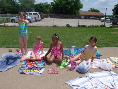 Image: Bathing Beauties — They are catching some rays.