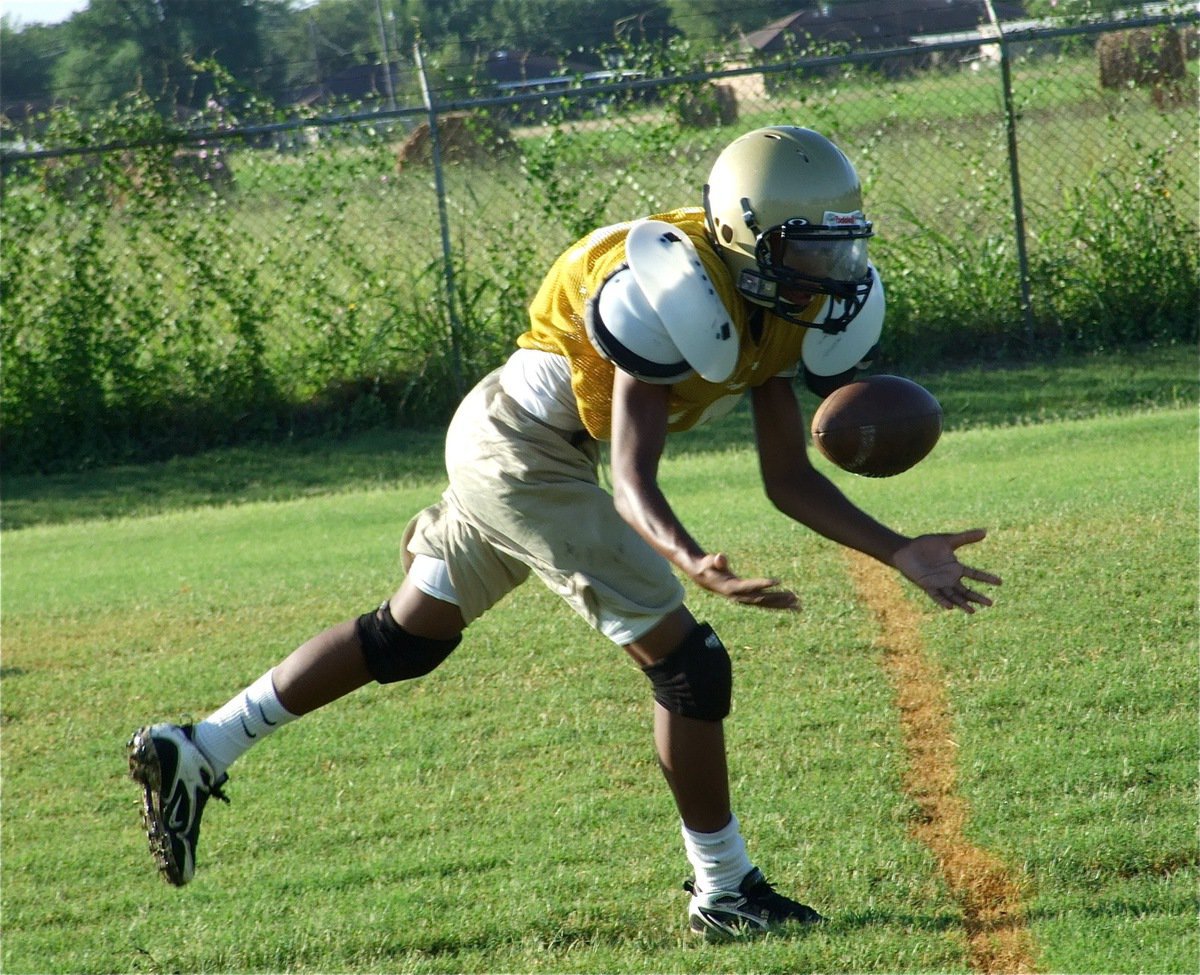 Image: Making the catch — Practice makes perfect.