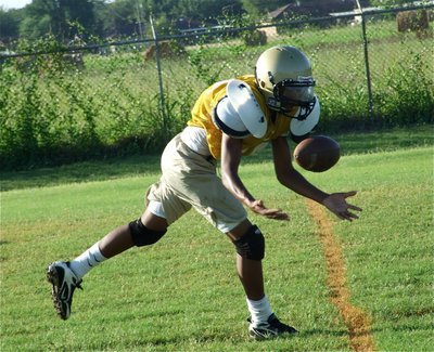 Image: Making the catch — Practice makes perfect.