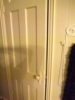 Image: Original Door in House — This is the only original article left after the remodel.