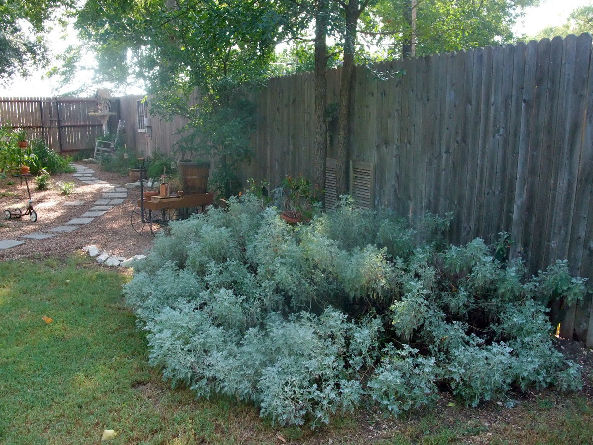 Image: Escape to the Garden — Another beautiful outdoor patio.