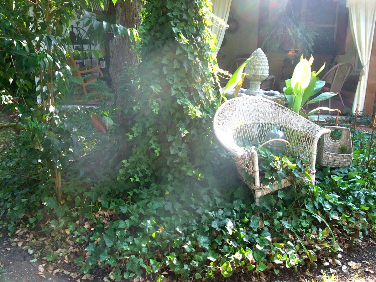 Image: Another Gorgeous Scene — How does your garden grow?