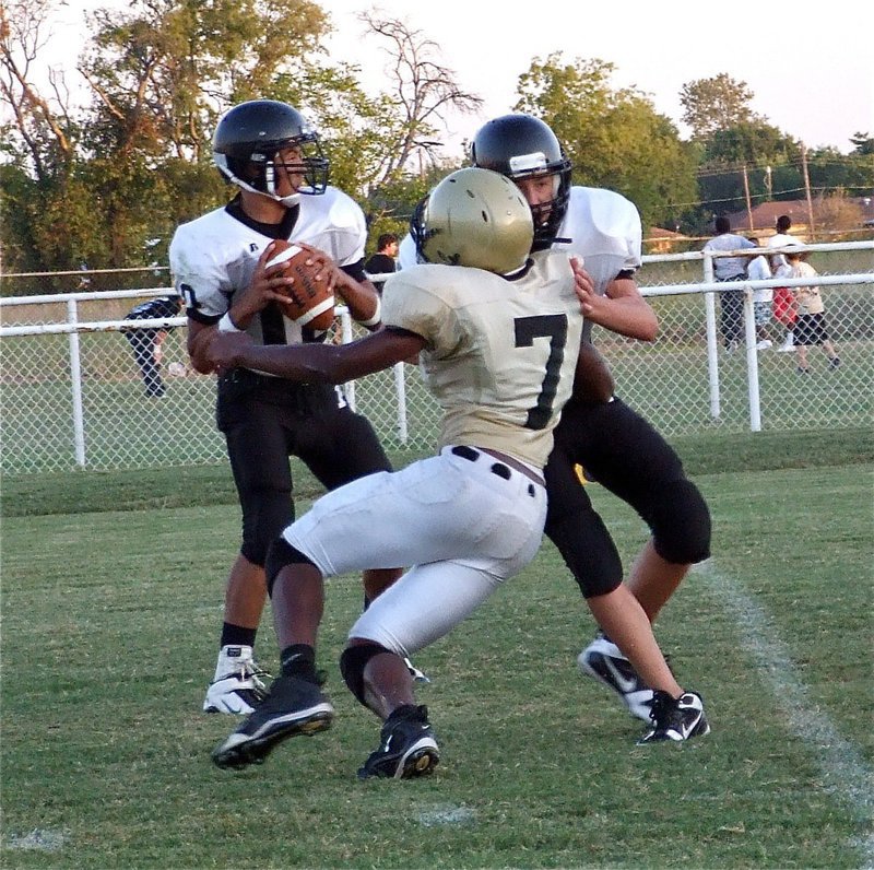 Image: Paul gets pressure — Italy’s Paul Harris(7) gets pressure on Palmer’s quarterback.