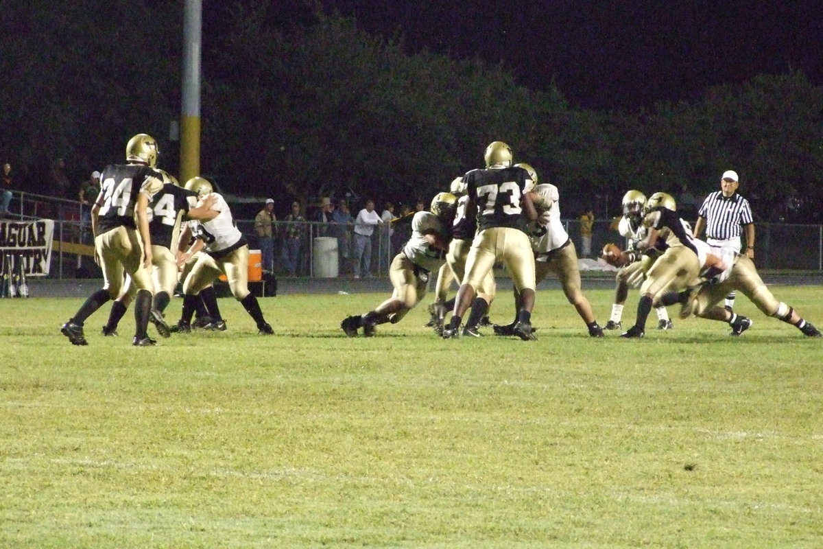 Image: Hold ’em back