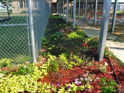Image: Flourishing Flower Garden — This garden is filled with flowers and ground cover.