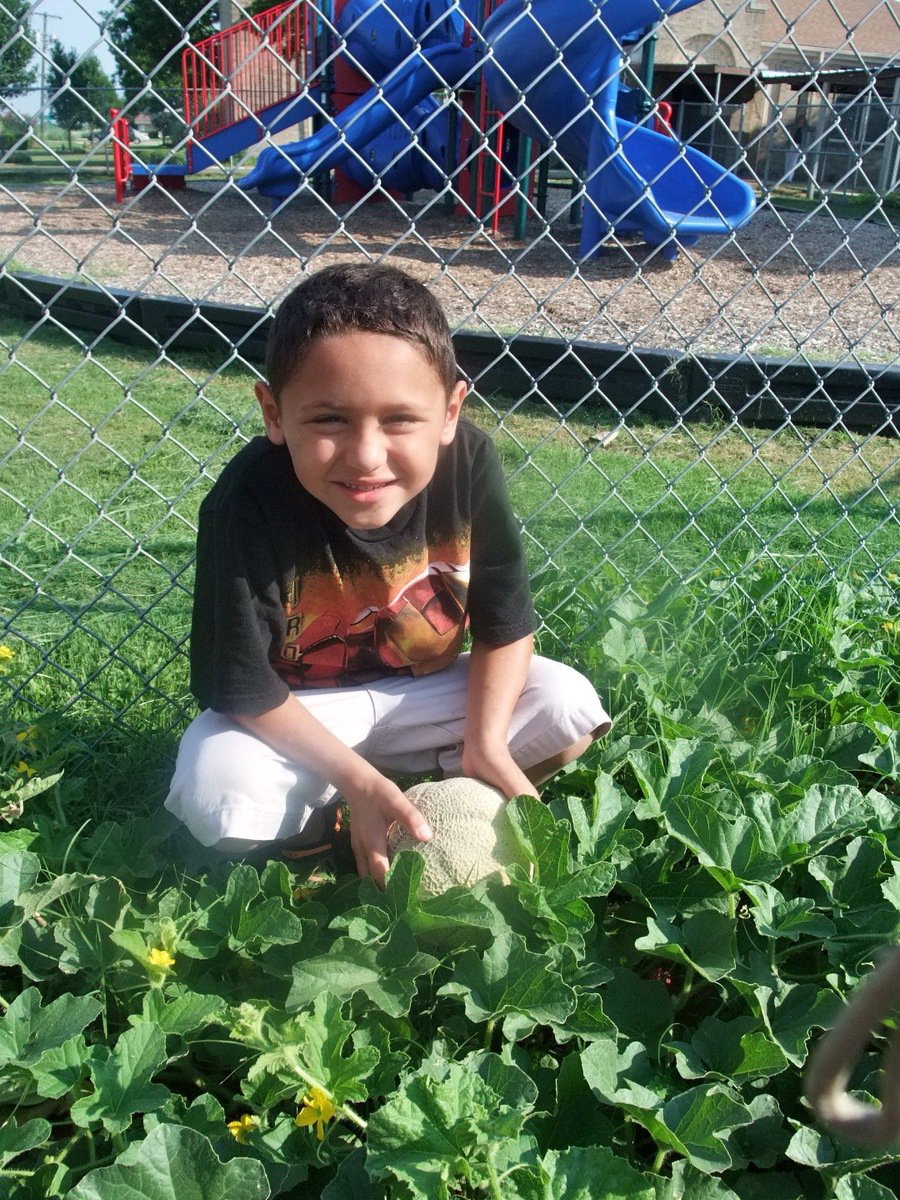 Image: I Found Another One — This young man is very proud of his cantaloupe.