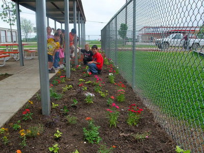 Image: Flower Garden Before — This is what the flower garden looked like back in April and now it is just filled with large, beautiful flowers.