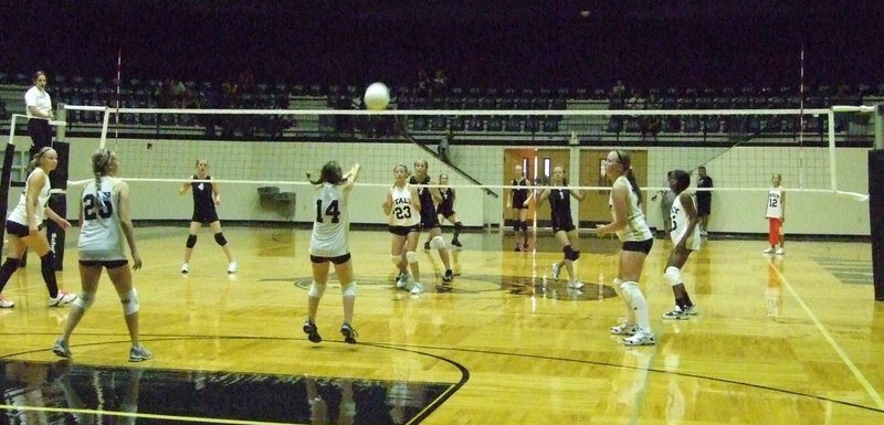 Image: Needing a spark  — Tara Wallis (14) is dynamite in a small package.