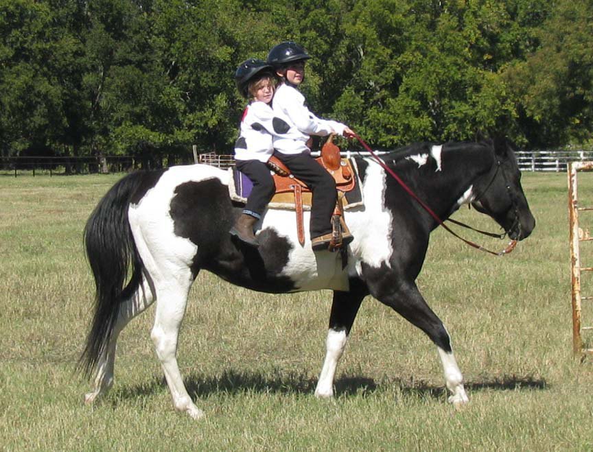 Image: Most Original costume — Sisters Lila and Amelia Dineen of Waxahachie along with their black and white paint horse Dakota won “Most Original” honors for their portrayal of the Chick-fil-A cow.