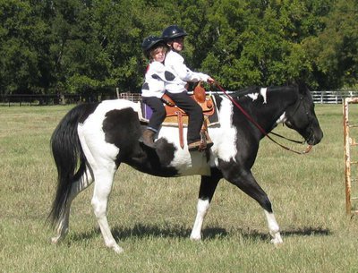 Image: Most Original costume — Sisters Lila and Amelia Dineen of Waxahachie along with their black and white paint horse Dakota won “Most Original” honors for their portrayal of the Chick-fil-A cow.