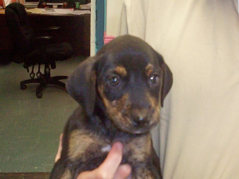 Image: This is adorable Lucy