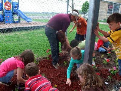 Image: Working Hard — Busy, busy spreading the ground cover.