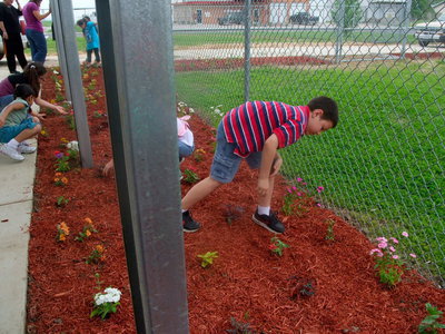 Image: Where is my Plant?