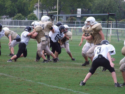 Image: >>>Men Working<<< — The 7th Grade offensive line clears a path through the jungle of Malakoff Tigers.
