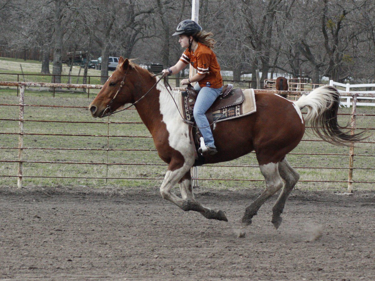 Image: Elizabeth and Girlfriend — Elizabeth Terry of Waxahachie riding Girlfriend at the ECEA playday at the Flying Dollar Ranch