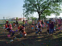 Image: The “hunt” is on — So many eggs and so many hunters.