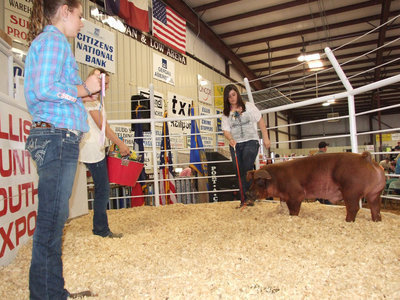 Image: Bailey DeBorde — Bailey DeBorde displays her swine for potential buyers inside the sale ring while little sister, Brooke DeBorde, displays her big sister’s Reserve Breed Champion ribbon. Classmate, Bailey Eubank, shows the goodies in the bucket.