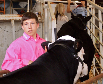 Image: Kyle Jackson — Kyle Jackson makes his way up the chute towards the sale ring.