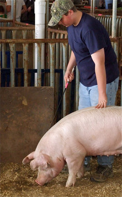 Image: Austin Pittmon — Austin Pittmon exercises his White OPB on Thursday.