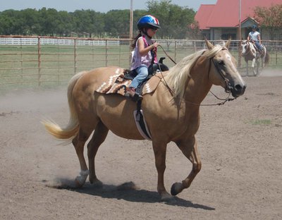 Image: Mikayla Venable Cowboys Nellie Bar — Mikayla Venable of Italy and her horse Cowboys Nellie Bar had a great time placing in many walk trot events.